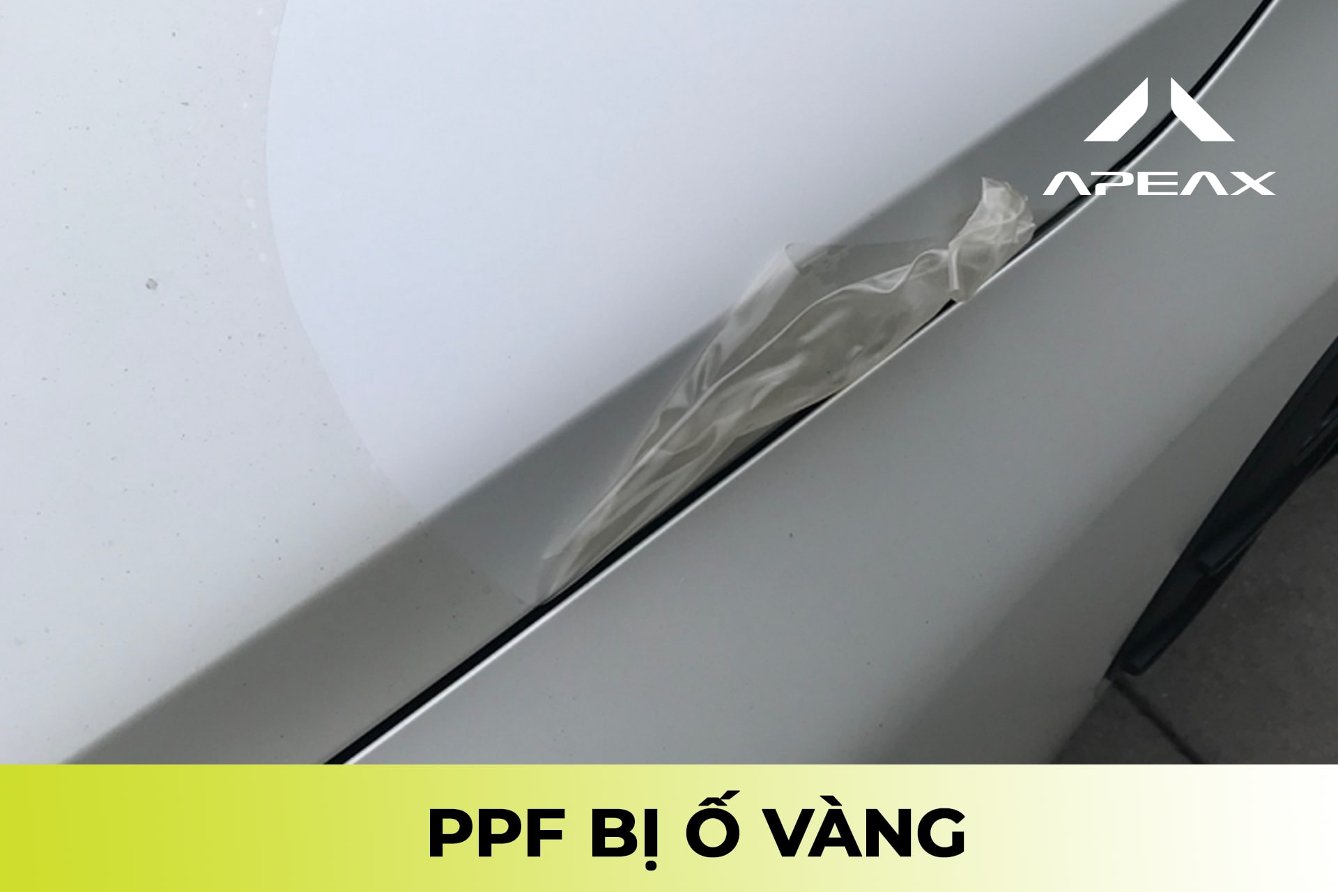 PPF PVC rất dễ bị ố vàng sau 1 năm dán.
