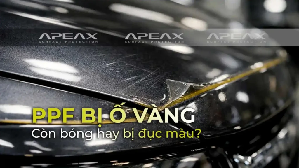 Liệu bị PPF có còn sử dụng được không khi chúng bị ố vàng?